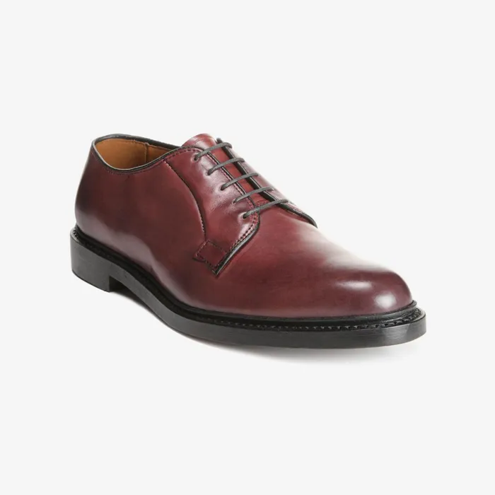 Allen Edmonds Leeds Dress Plaintoe Blucher Shoe Oxblood Men Dress Shoes